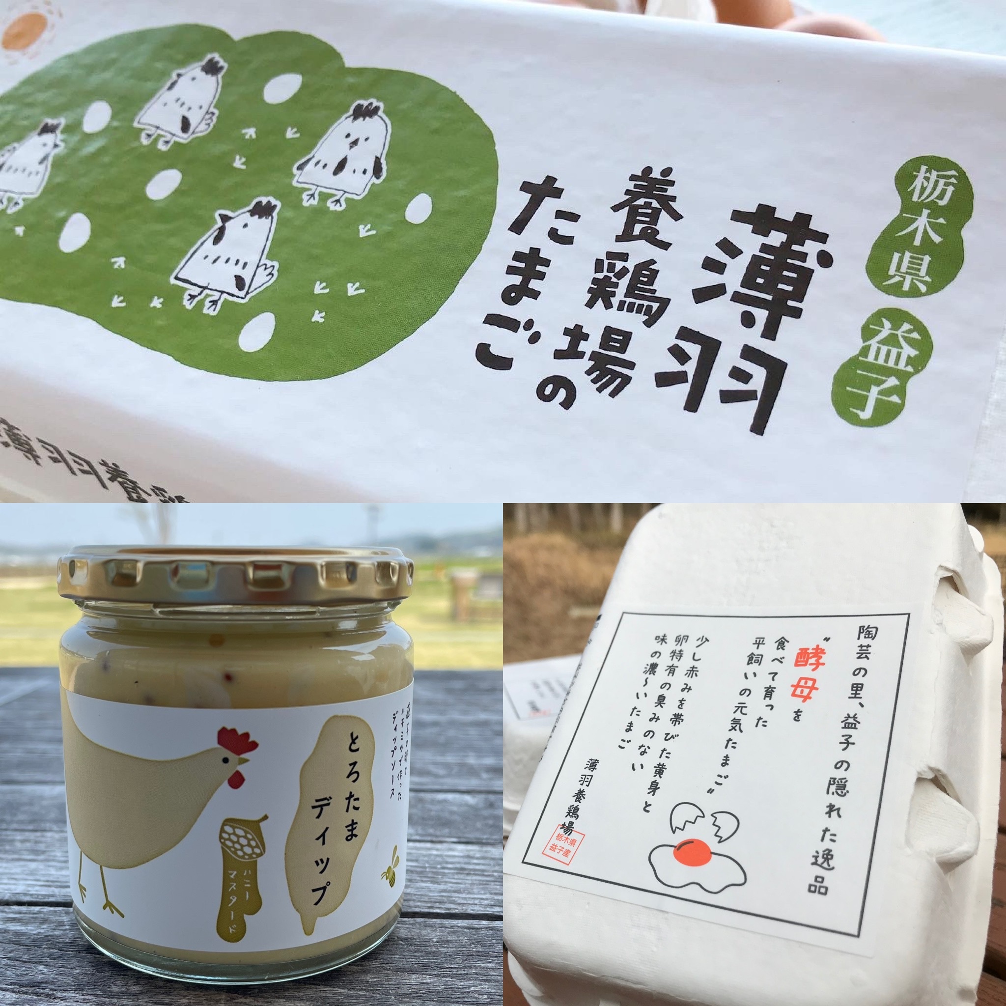パプリカ(出荷時初回返信/基本翌日発送) パプリカの産直通販・お取り寄せ商品｜ポケットマルシェ｜産地