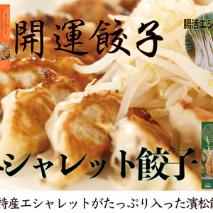 【冷凍】大人気やみつきエシャレット入り浜松餃子1パック15個入り