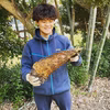 鮮度抜群 とれたて筍（たけのこ）収穫後即日発送！×2kg