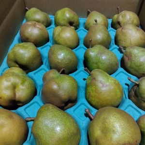 訳ありミニ　ラ　フランス５キロ