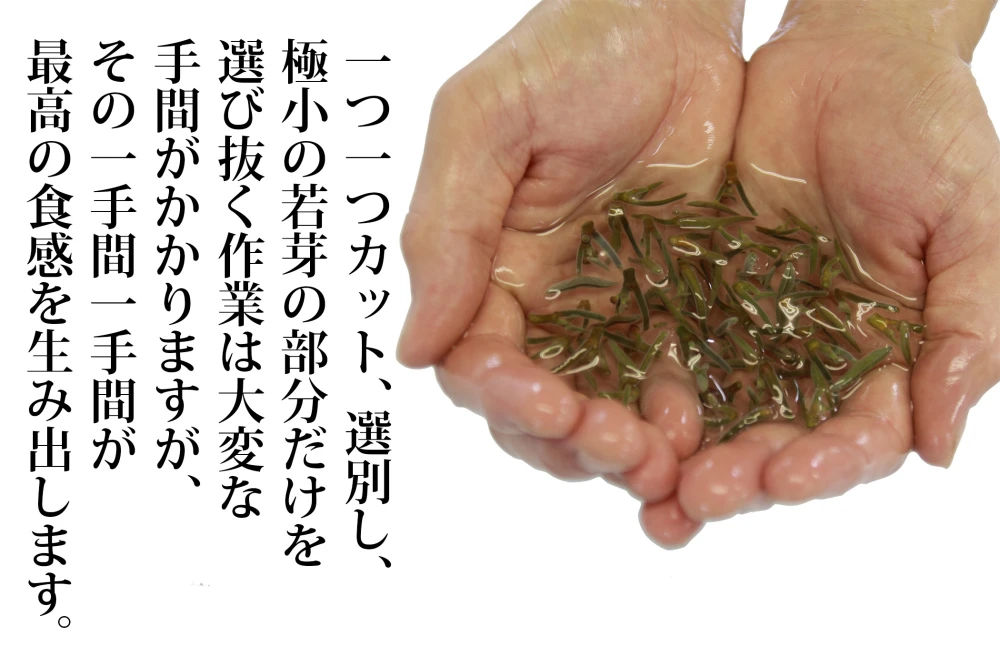 生じゅんさい特選品500g　ぷるん！ぷるん！