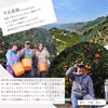 【2025年12月発送】農家直送！有田みかん｜無選別2Kg～【平武農園】