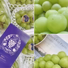 【ご贈答用】フルーツ王国・岡山県産シャインマスカット