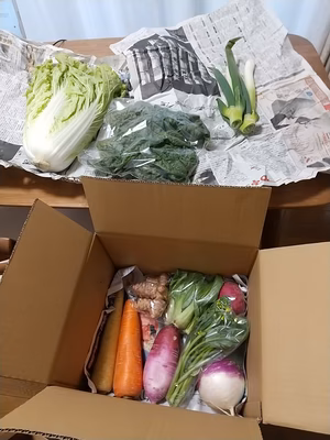 みんなの投稿の画像