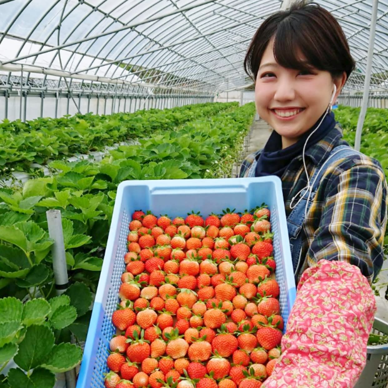 広島県庄原市｜株式会社ひばごんファーム｜田盛健治さんの生産者