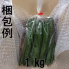新鮮きゅうり【日時指定可】【特別栽培農産物】