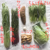 金曜日お届け　農薬不使用野菜セットSサイズ（6～7品）※税込