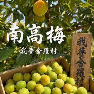 【我夢舎羅村特産品】【南高梅】梅の香り　