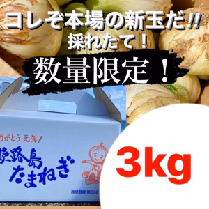 数量限定❗️今年初採り✨淡路島新玉ねぎ❗️（3kg箱）