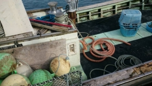 14448905_1851714081729233_2869012337920323730_n