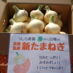 【特別栽培】10kg～  淡路島の新玉ねぎ！