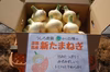 【特別栽培】10kg～  淡路島の新玉ねぎ！