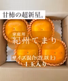 和歌山県特別品種【紀州てまり(柿)】家庭用サイズ混合(2L以上) 4玉入り