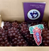 柏原ぶどう（デラウェア）7〜10房