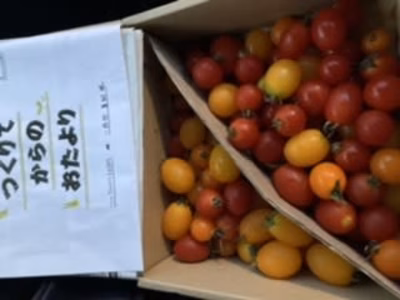 みんなの投稿の画像