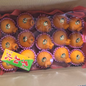 糖度センサ選果！屋根掛け不知火【家庭用】約４kg(１２～１５玉)