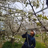 宮川幸平