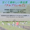 【南信州産アルプスいちご 先行予約販売】数量限定　1箱大粒12～15粒入
