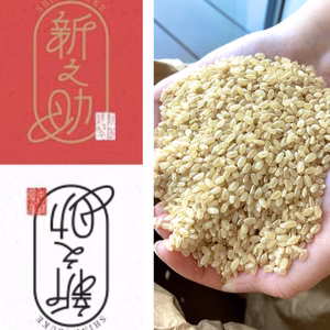 【令和 7年産玄米・定期予約】食べ応え抜群な新之助