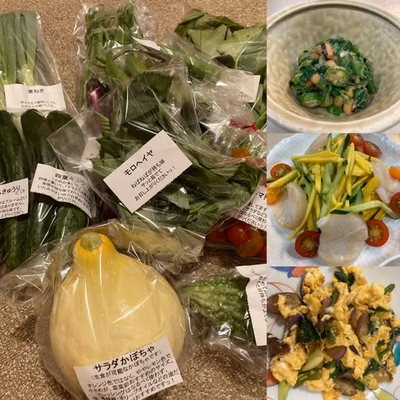 みんなの投稿の画像