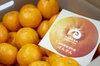 【冬季限定SALE！】高知県東洋町産果汁100％ぽんかんジュース