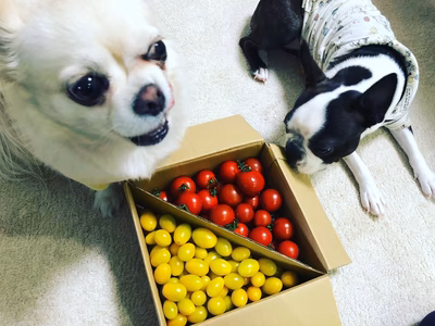 みんなの投稿の画像