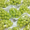 【家庭用】岡山県産シャインマスカット2房【1.2kg】しっかり甘くてジューシー