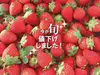 《パクパクが止まらない♪》小粒ちゃんイチゴ(1kg)埼玉県羽生市産