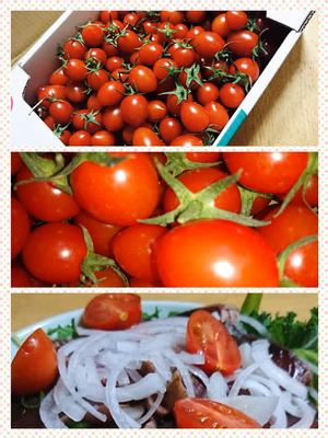 みんなの投稿の画像