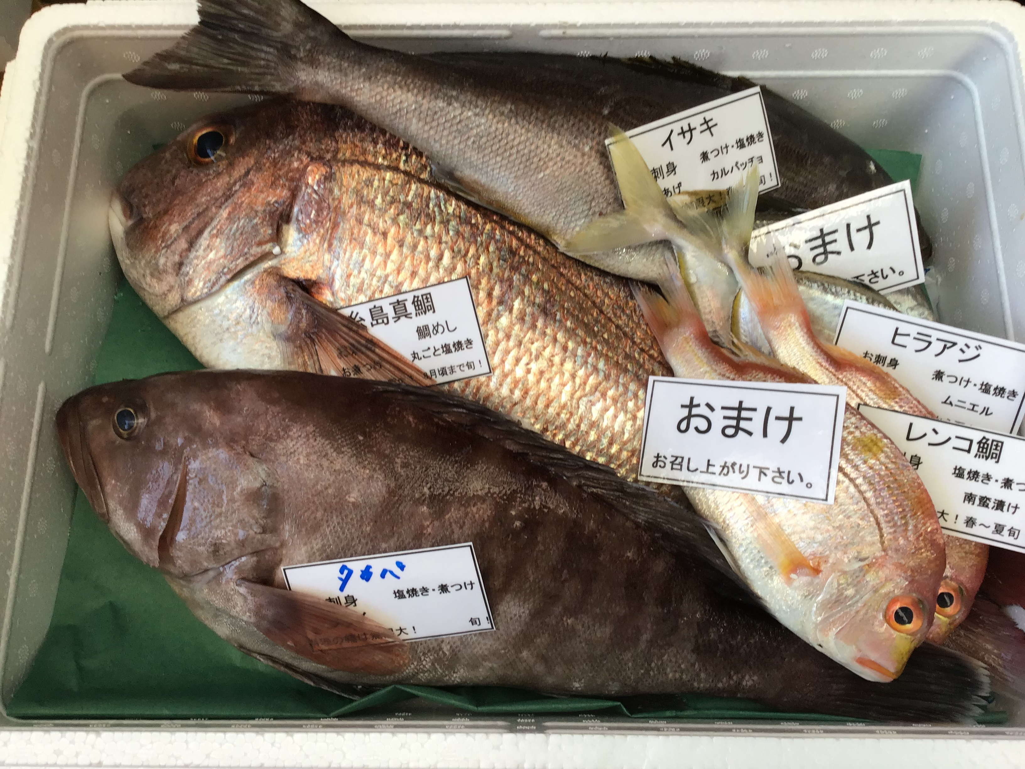 8月で最後出品 市場価格緊急値下げ 8月限定 糸島漁師の厳選おまかせセット3匹 農家漁師から産地直送の通販 ポケットマルシェ
