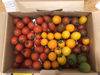 みんなの投稿の画像