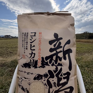 【残りわずか】新潟県産コシヒカリ2kg〜　冷蔵庫保管品　白米