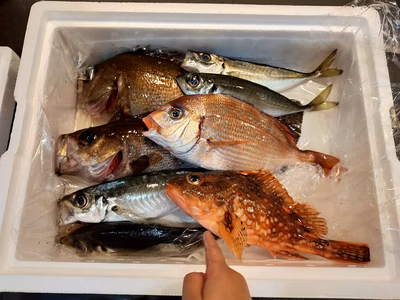 みんなの投稿の画像