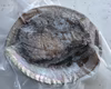 １点物　アワビ　鮑　-60度急速冷凍　5枚で 700g（傷物、訳あり品）#A