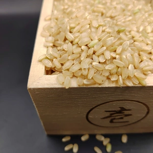 〇令和4年産特別栽培米「にこまる」〇玄米2kg~