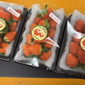 3品種イチゴパック
