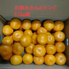11/中旬【先行予約価格】初収穫❣木成り有田日南みかん＆4種マーマーレード
