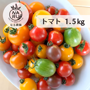 カラフルトマト【農薬・化学肥料不使用】カラフルトマトを合計1.5kgセット
