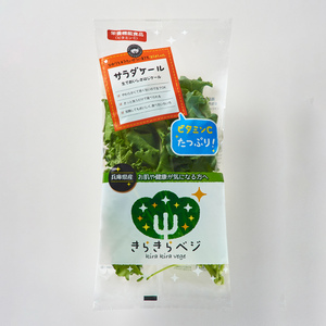 きらきらベジ　5種類×2パックセット（生で食べてほしい、サラダケールなど）