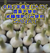 生にんにく（収穫直後）500g入り　　500g入り２個
