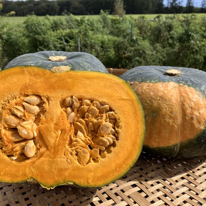 農薬化学肥料除草剤不使用【北海道産】美味しい『くりりん南瓜』