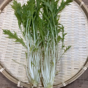 栽培期間中農薬・化学肥料非使用　水菜　クール便