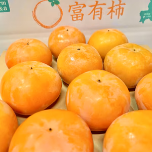 こだわりの見極め　Farm m&aの富有柿　贈答用　2Lサイズ