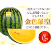 【予約受付】尾花沢すいか『金色羅王』Ｌサイズ  糖度15度以上の極甘