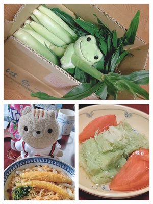 みんなの投稿の画像