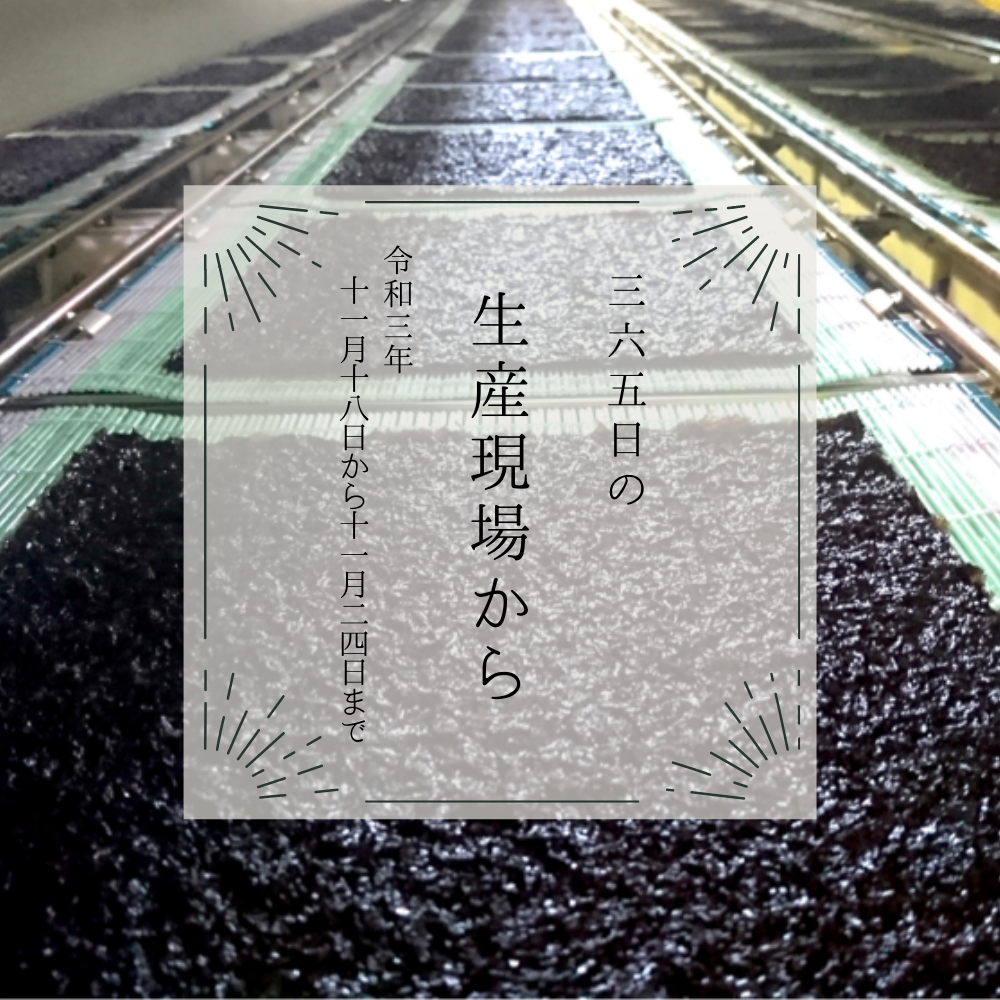 味に納得できた年だけ販売 あの秋海苔が今年は…🎉｜11月18〜24日の生産
