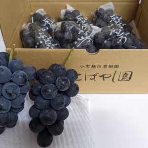 「良品」BKシードレス 2kg