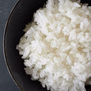 【令和7年産新米】特別栽培米コシヒカリ（白米）　石川県産