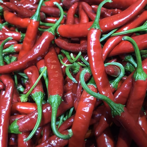 【クール便】激辛　赤唐辛子【【赤】】