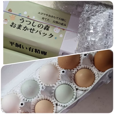 みんなの投稿の画像